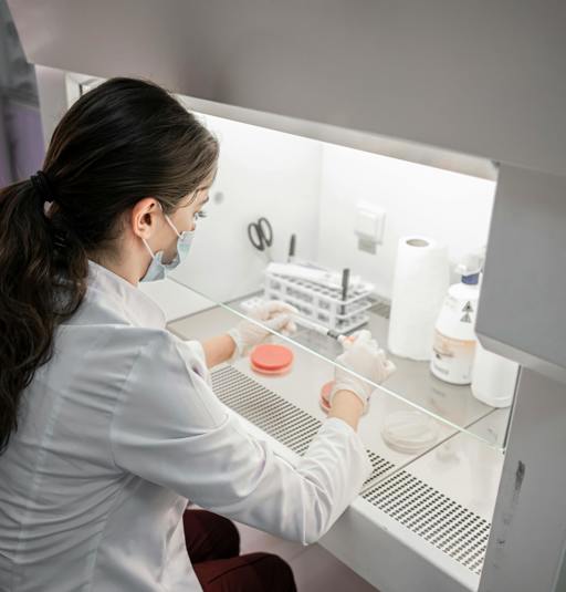 Back to the future: discovery of a new bacterial species, decades in ...