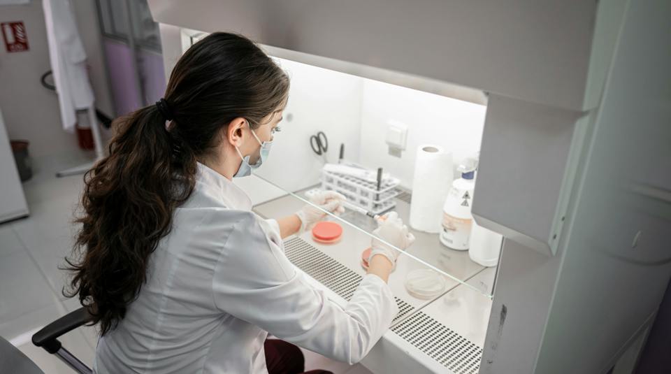 Back to the future: discovery of a new bacterial species, decades in ...