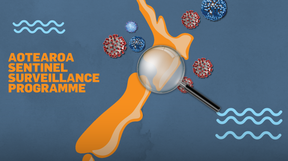 Sentinel Surveillance Graphic Esr