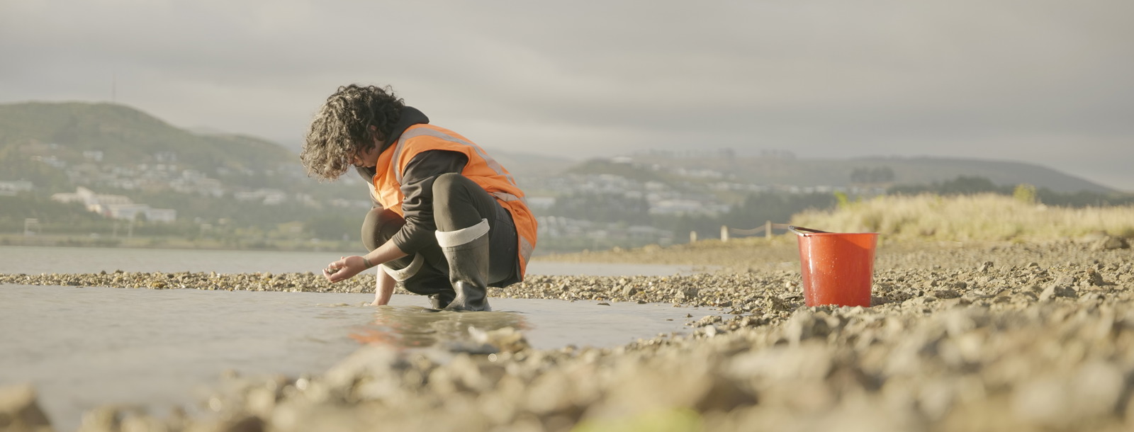 Māori impact 2