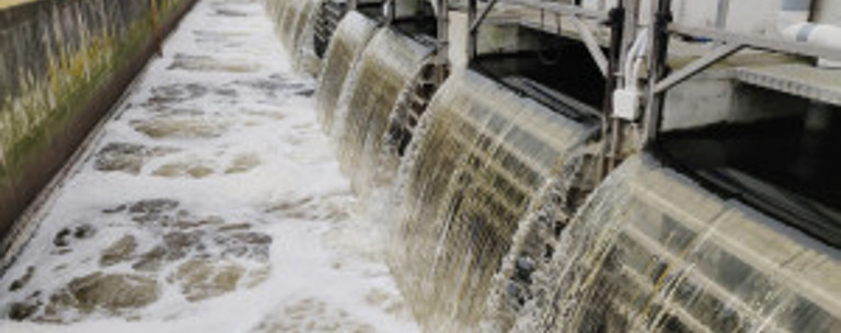 Wastewater Treatment Site Esr