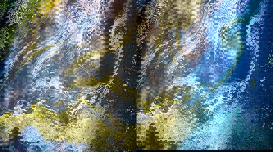 Phf Science Contaminated Water