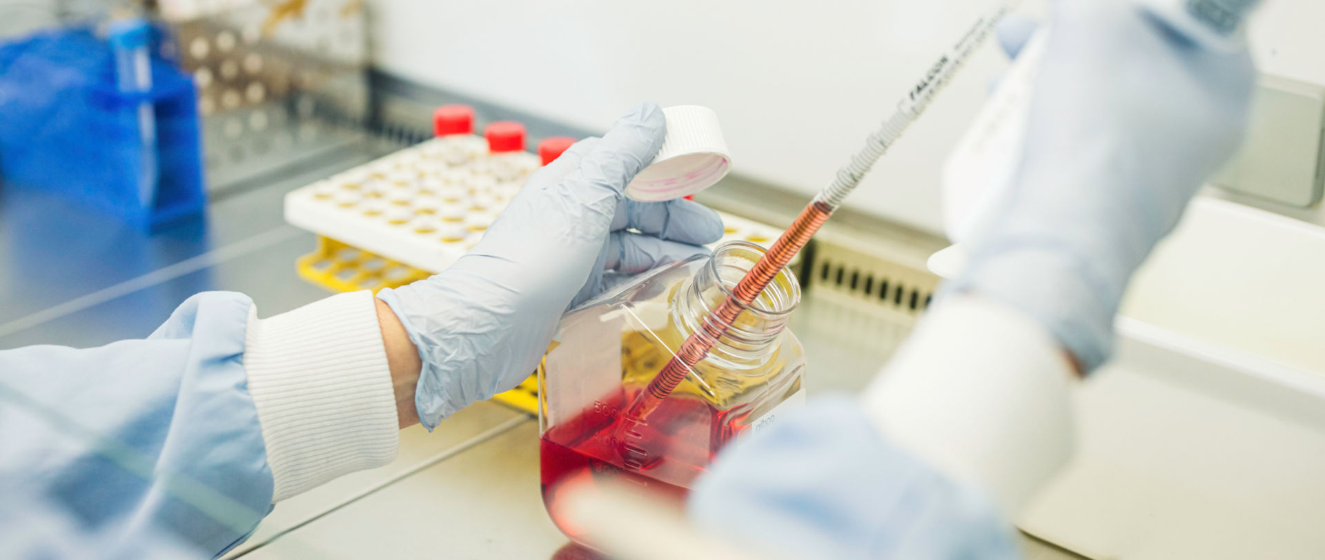 PHF Science to host new phase of infectious diseases research platform