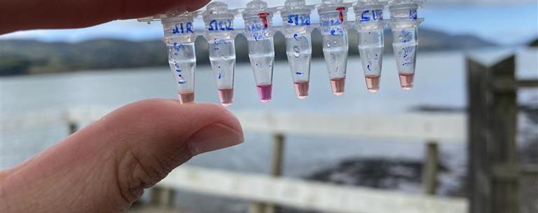 Vibrio Testing Phf Science
