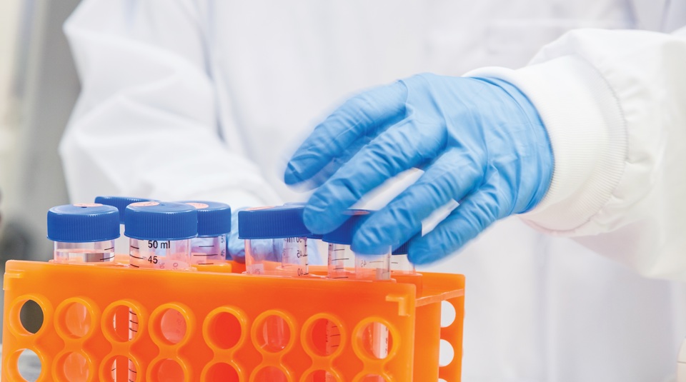 Gloves Lab Esr (1)