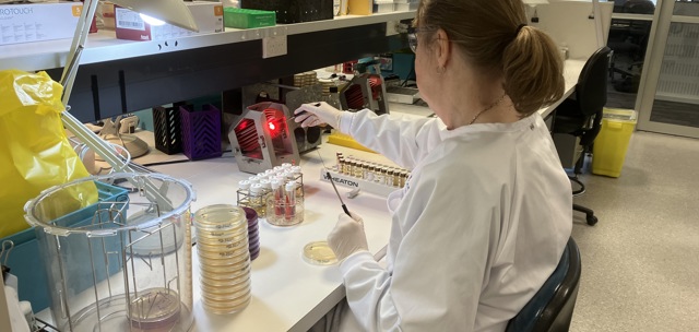 Not your average library: inside PHF Science's extraordinary disease ...
