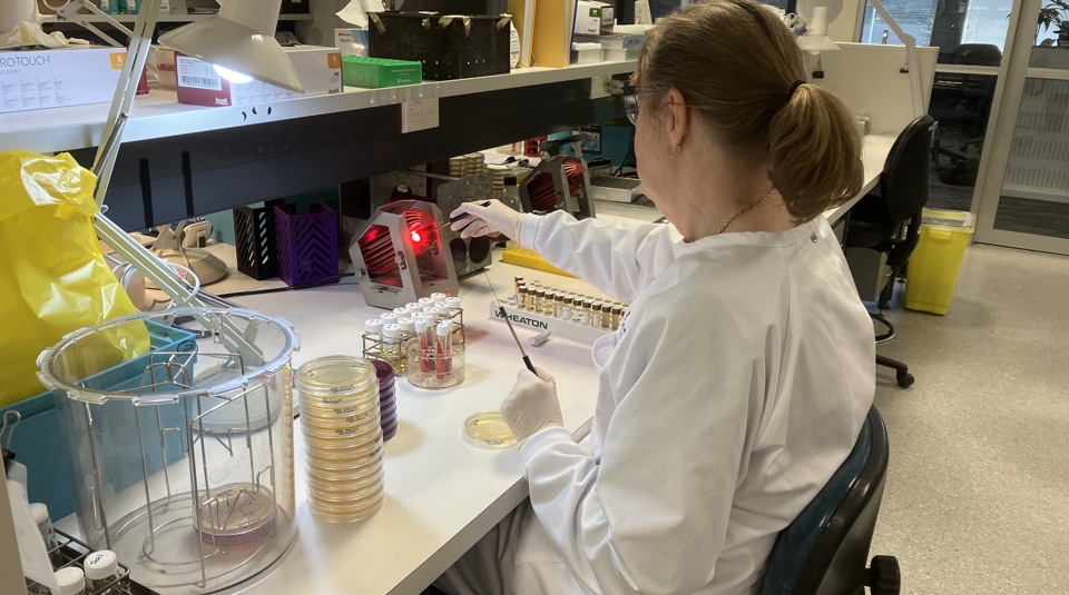 Not your average library: inside PHF Science's extraordinary disease ...