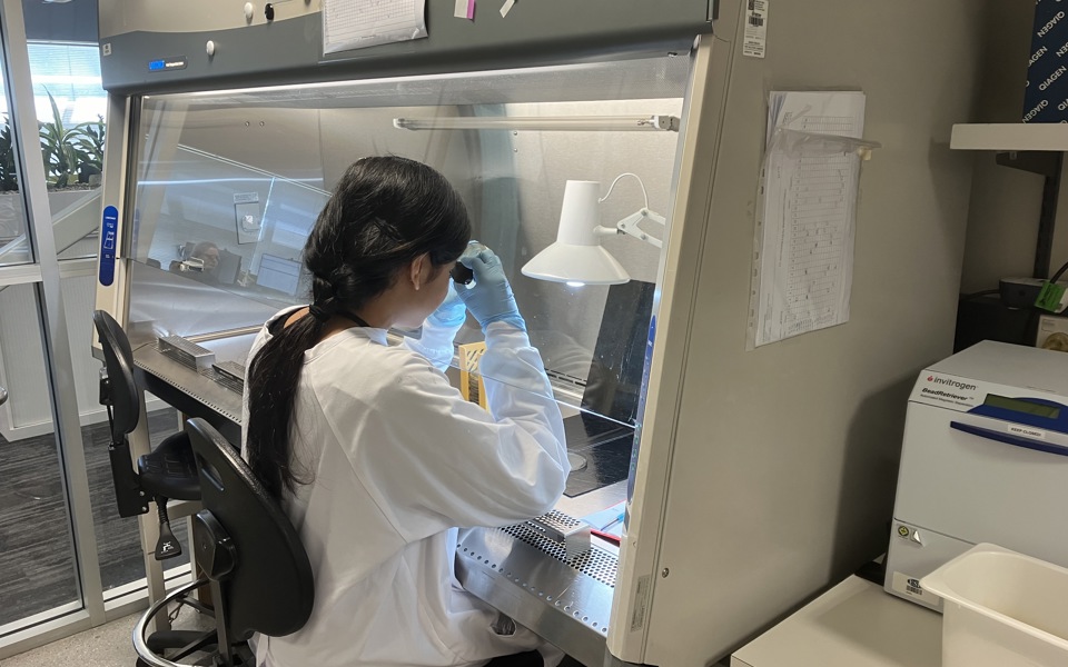 Phf Science Lab Not your average library: inside PHF Science's extraordinary disease ...