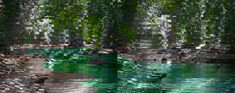 River Phf Science