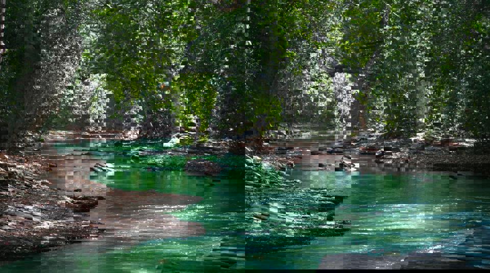 River Phf Science