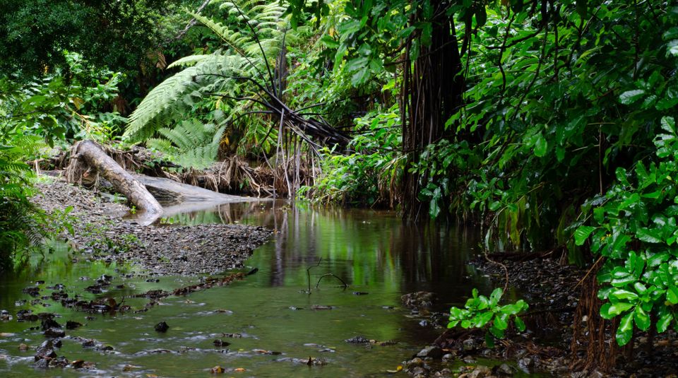 e coli genetic study waterway (pexels)