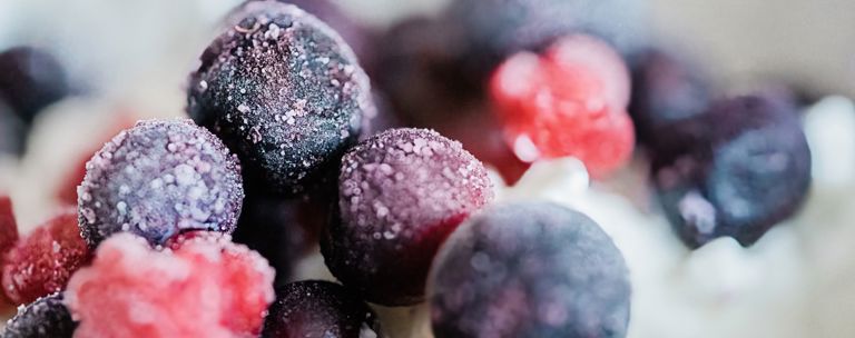 PHF Science Berries
