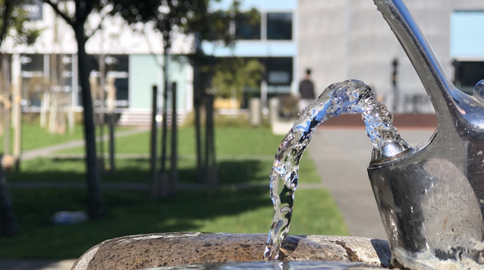 Drinking Fountain Water Surveillance Esr