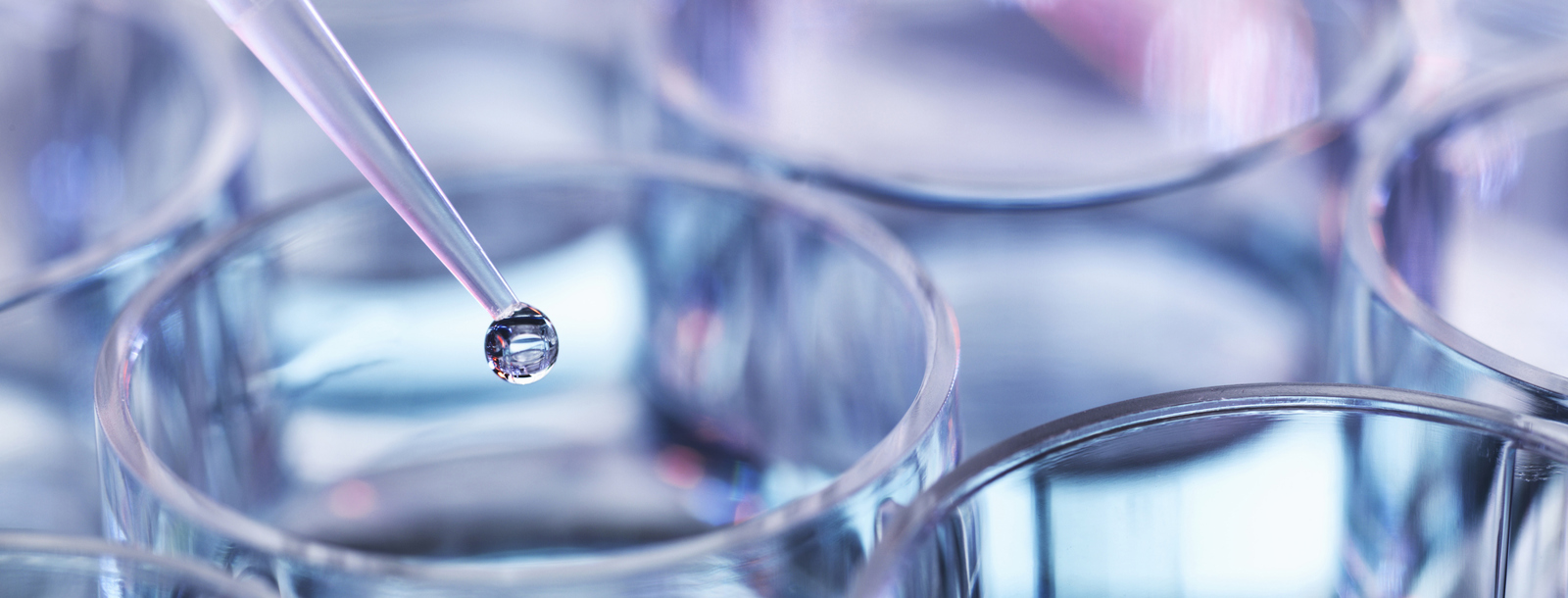 Phf Science Lab Terms & conditions