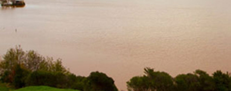 Red Algal Bloom2 300 Lake Waikare Fitwzmwmcwzmdbd