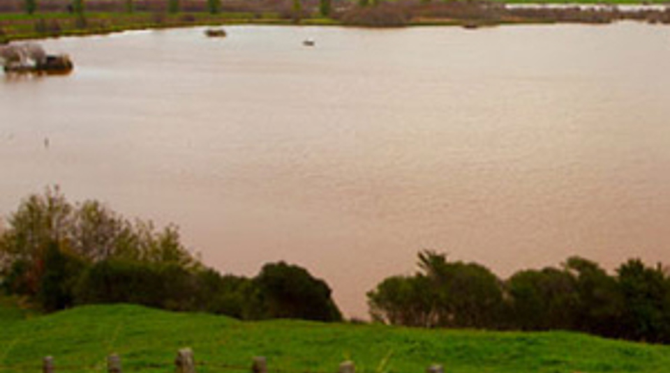 Red Algal Bloom2 300 Lake Waikare Fitwzmwmcwzmdbd