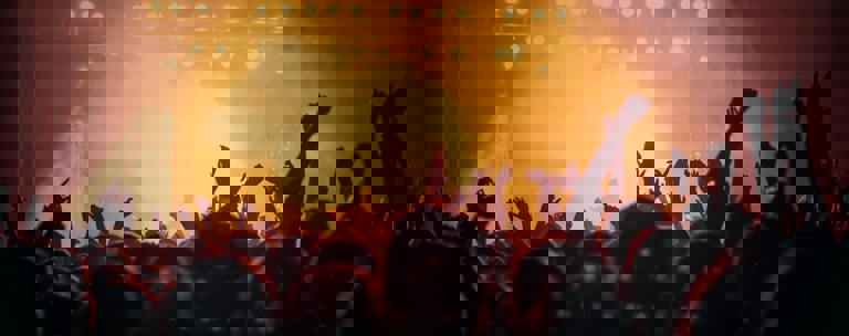 Festival Summer Drug Checking Phf Science