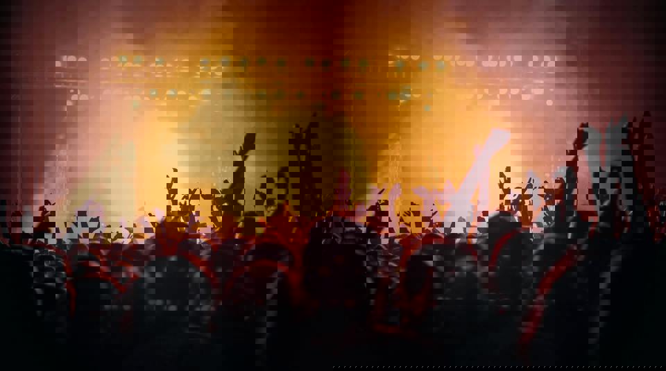 Festival Summer Drug Checking Phf Science