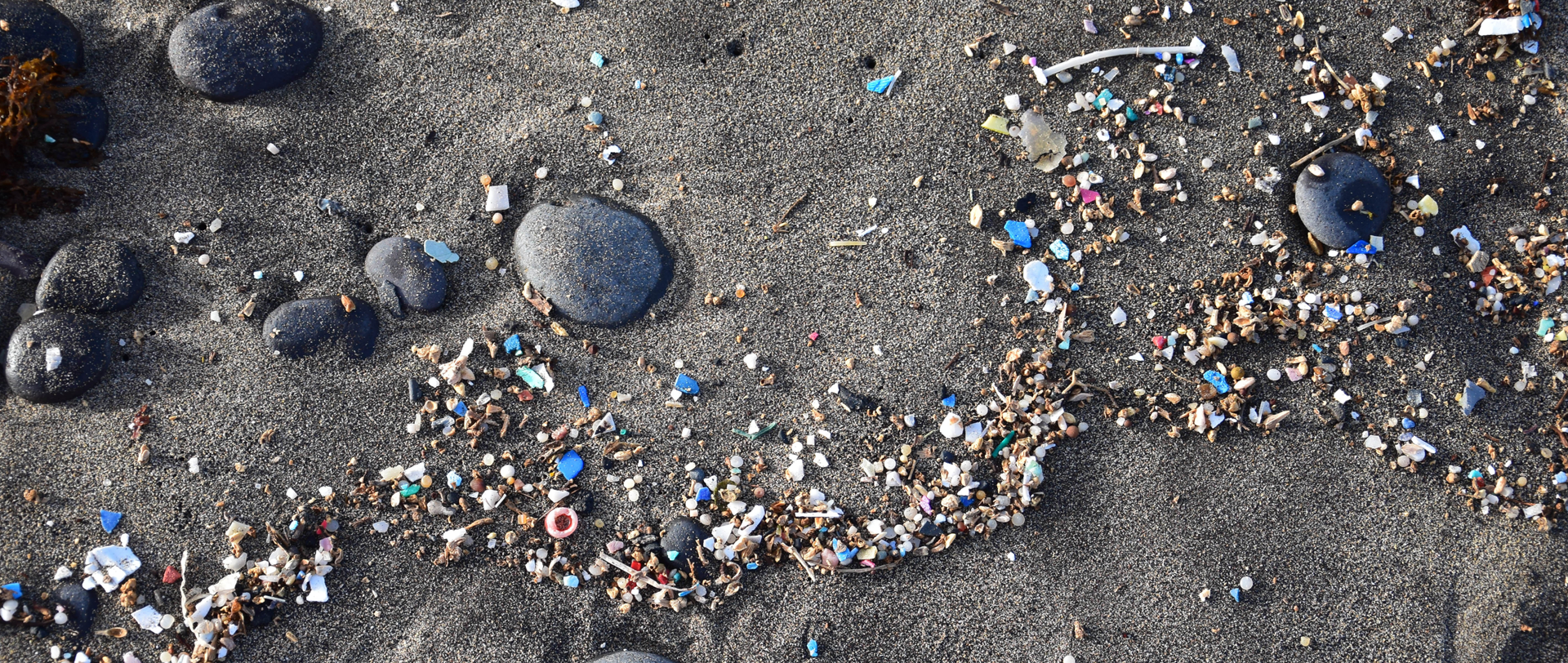 Report highlights need for greater understanding and monitoring of microplastics and nanoplastics