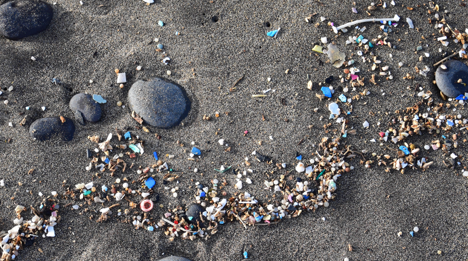 Mocroplastic Microplastics in Aotearoa New Zealand: local sources and broad impacts