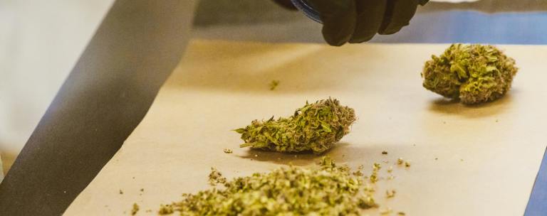 Phf Science Synthetic Cannabinoids
