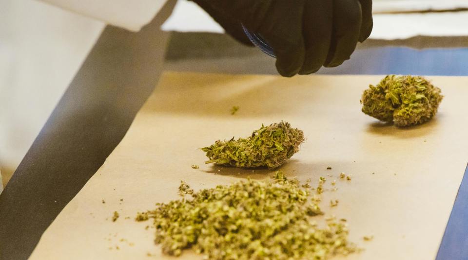 Phf Science Synthetic Cannabinoids